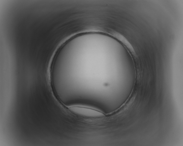 X0000102801380200808251040