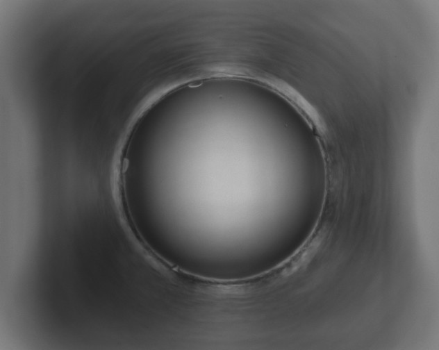 X0000102801381200808251040