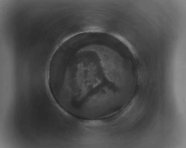 X0000102801383200808251040
