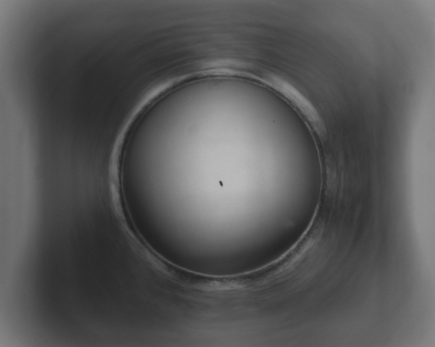 X0000102801384200808251040