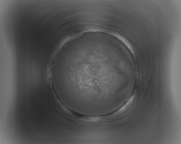 X0000102801385200808251040
