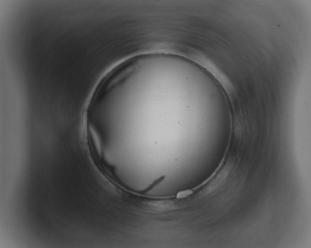 X0000102801388200808251040