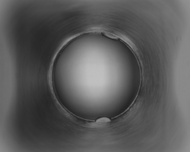 X0000102801392200808251040