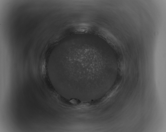 X0000102801394200808251039