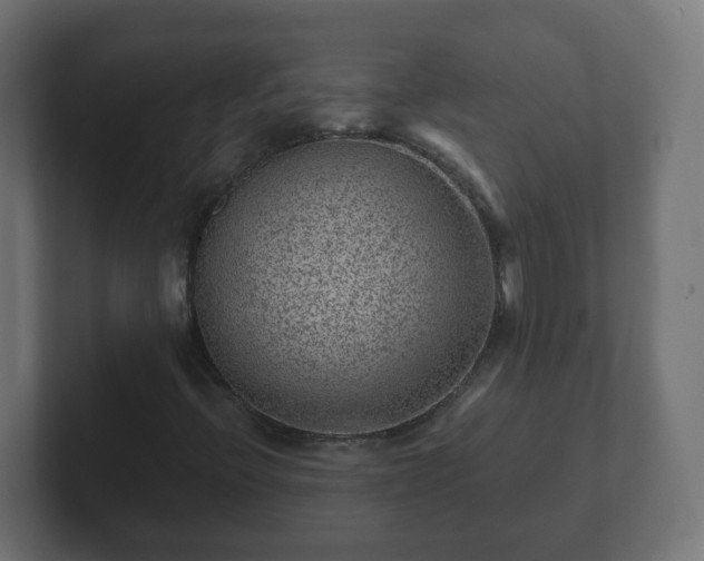 X0000102801396200808251039