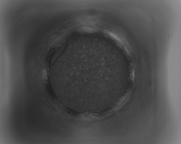 X0000102801397200808251039