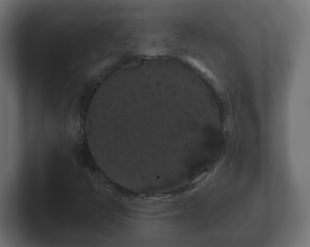 X0000102801398200808251039