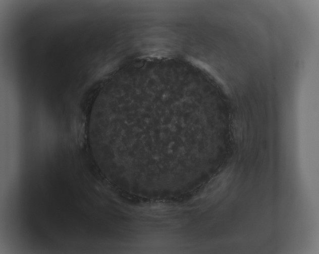 X0000102801399200808251039
