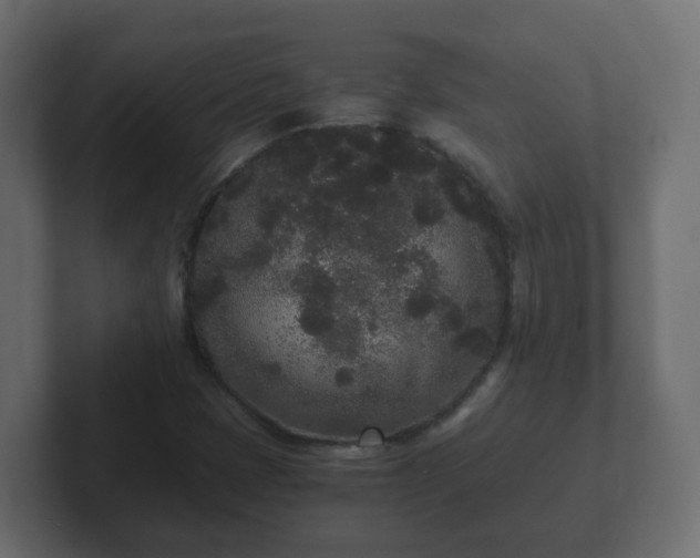 X0000102801401200808251039