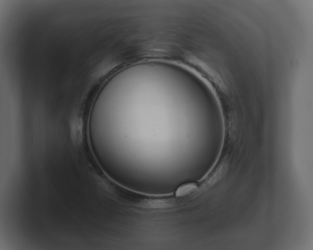 X0000102801402200808251039
