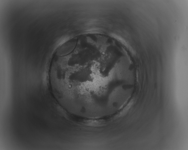 X0000102801405200808251039