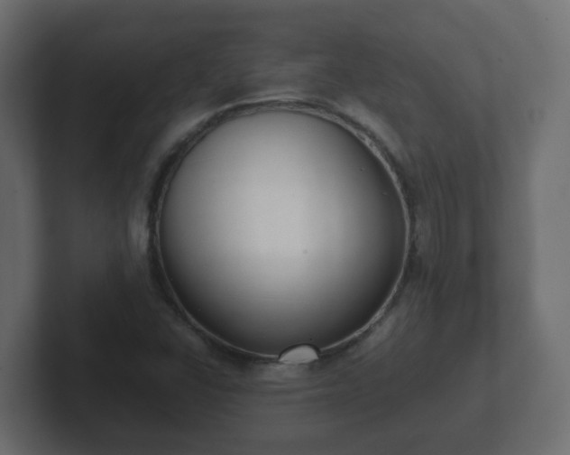 X0000102801406200808251039