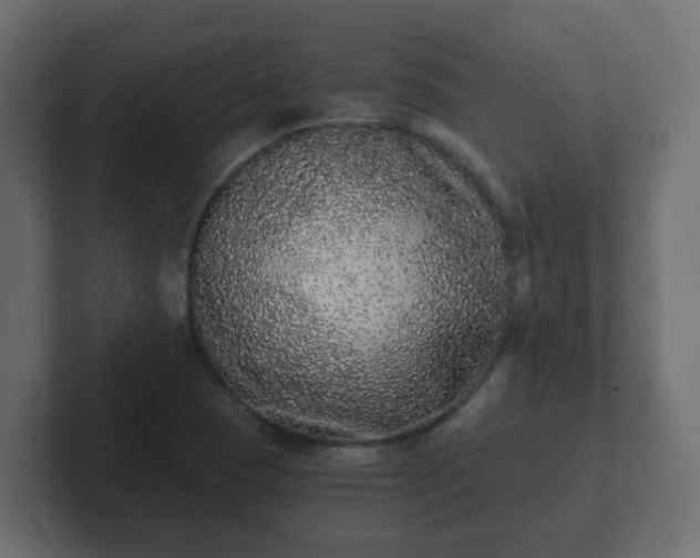 X0000102801409200808251040