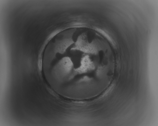 X0000102801413200808251040