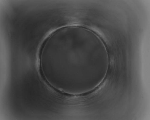 X0000102801414200808251040