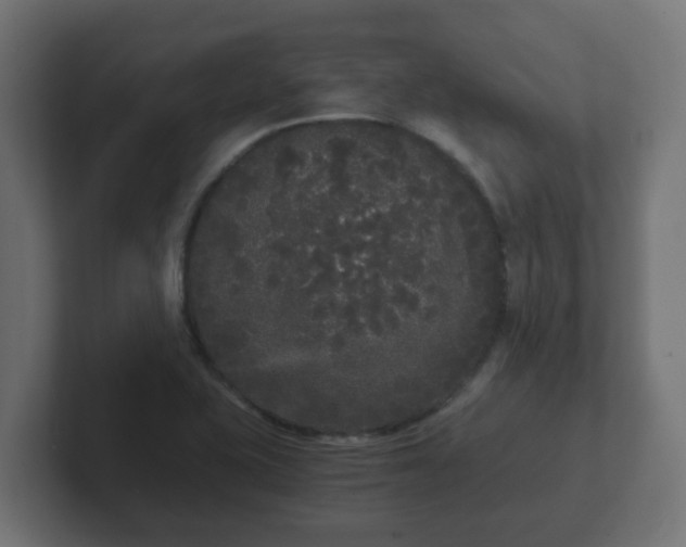 X0000102801415200808251040