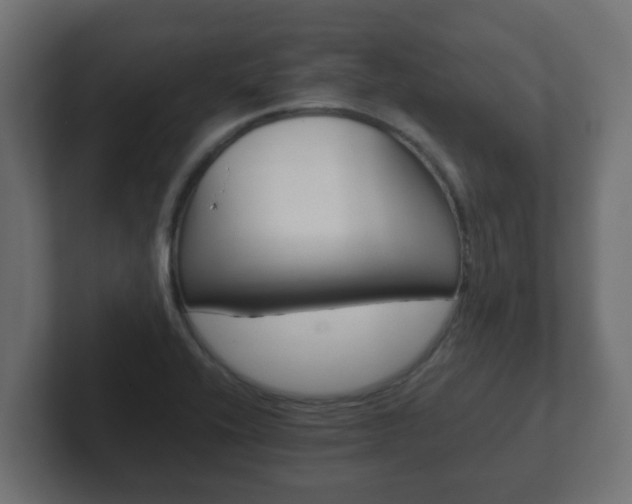X0000102801416200808251040