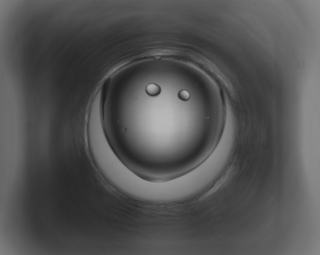 X0000102801417200808251040