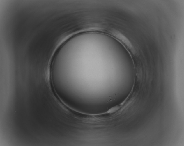 X0000102801420200808251040