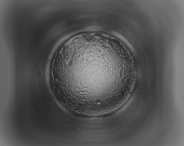 X0000102801421200808251040