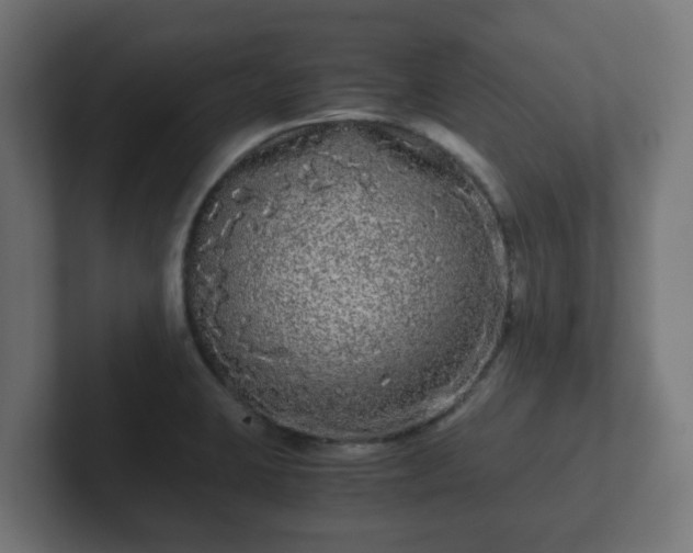 X0000102801423200808251040