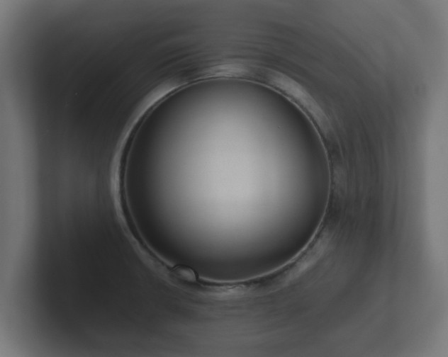X0000102801426200808251040