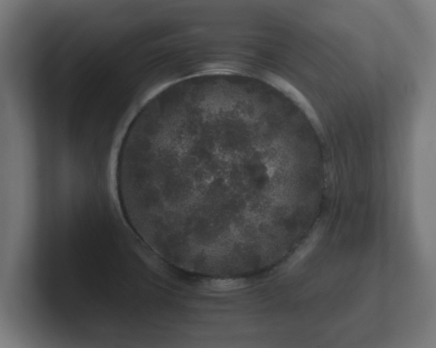 X0000102801427200808251040