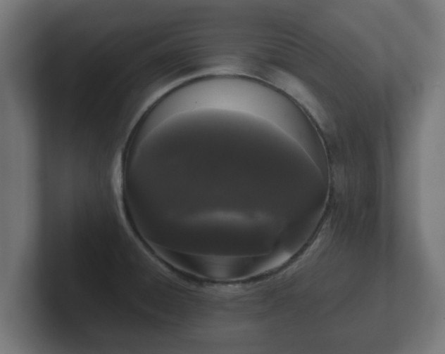 X0000102801428200808251040