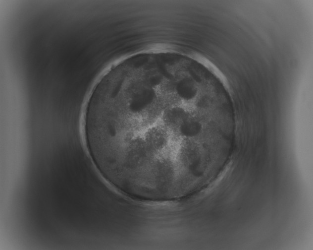 X0000102801429200808251040