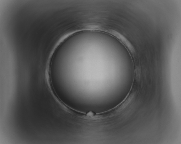 X0000102801432200808251040