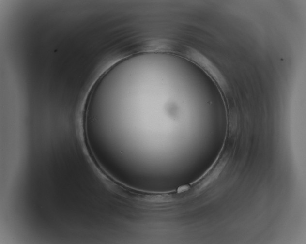 X0000102801434200808251040