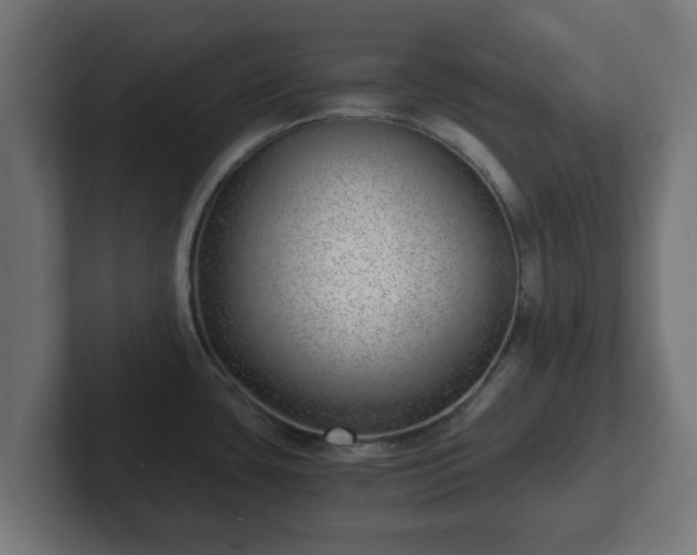 X0000102801435200808251040