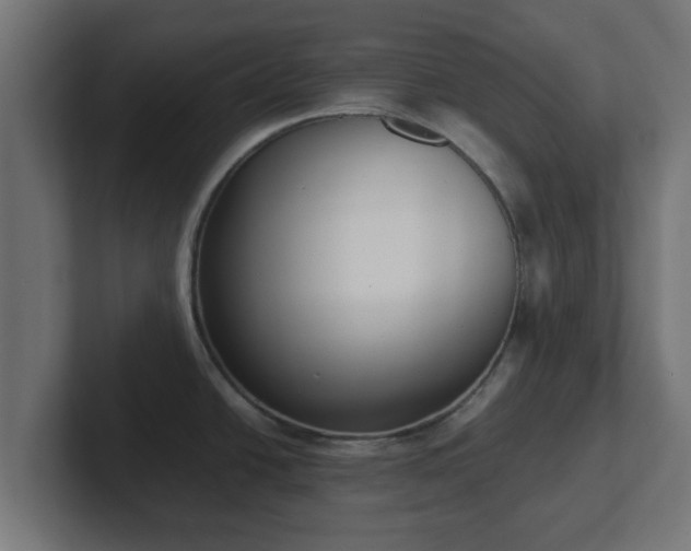 X0000102801438200808251040