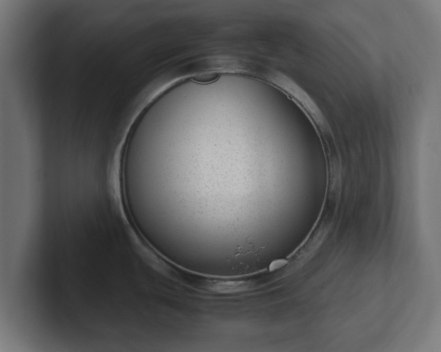 X0000102801439200808251040