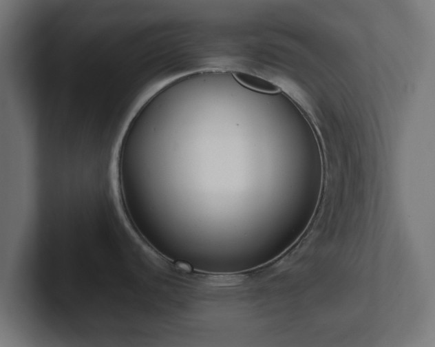 X0000102801440200808251040