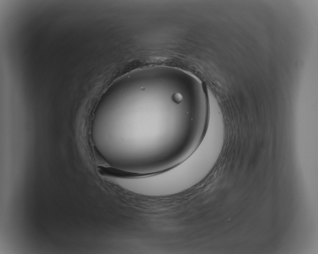 X0000102801441200808251039