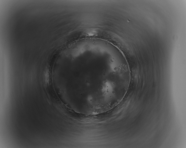 X0000102801442200808251039