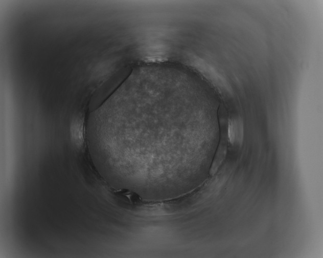 X0000102801444200808251039