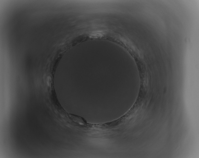 X0000102801445200808251039
