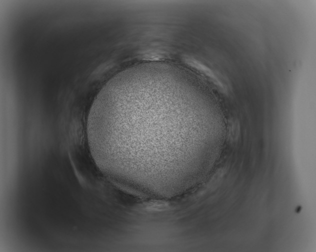 X0000102801446200808251039