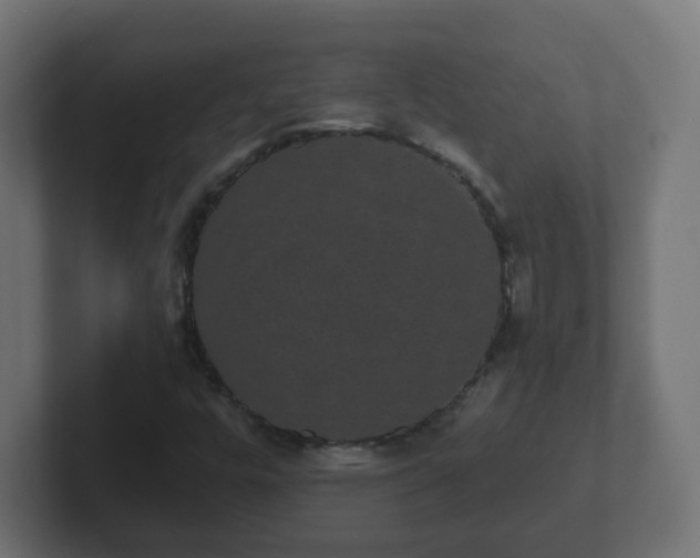 X0000102801448200808251039