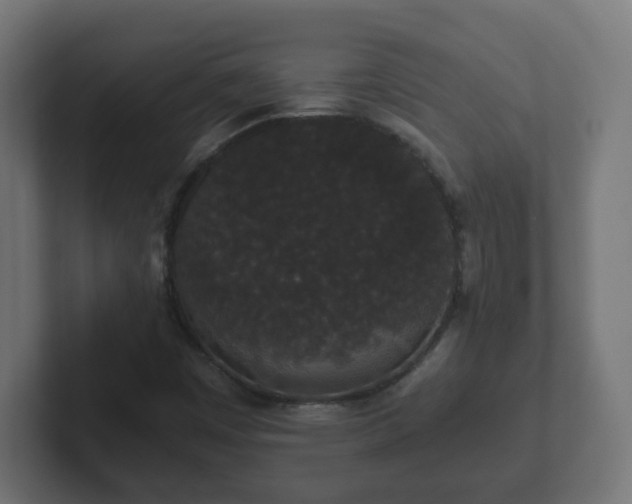 X0000102801449200808251039