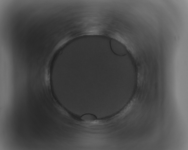 X0000102801450200808251039