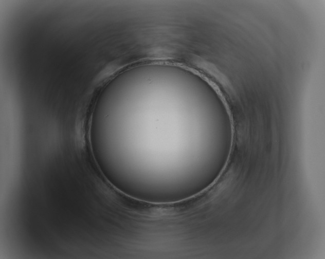 X0000102801451200808251039