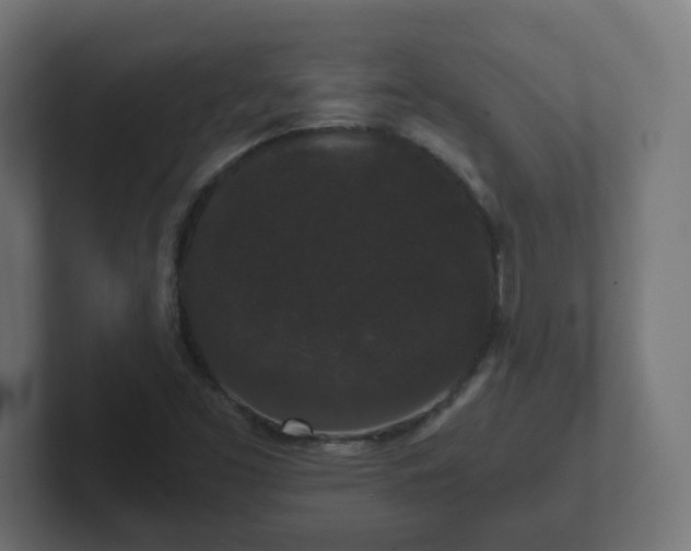 X0000102801453200808251039