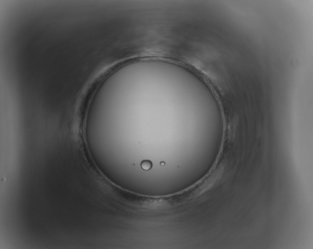 X0000102801454200808251039