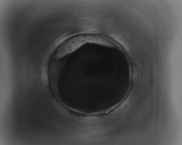 X0000102801455200808251039