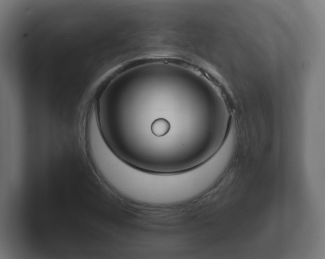 X0000102801456200808251039