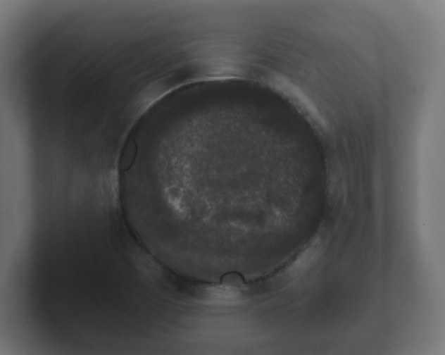 X0000102801457200808251039