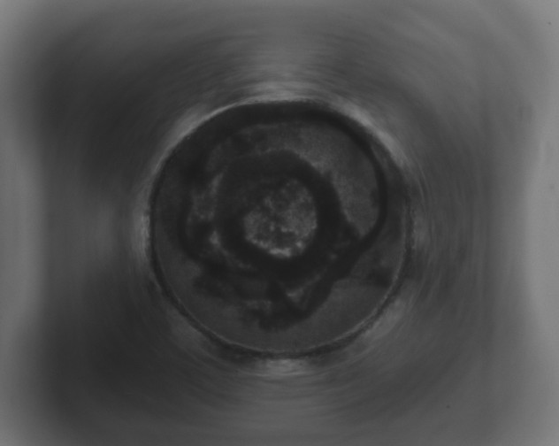 X0000102801459200808251039